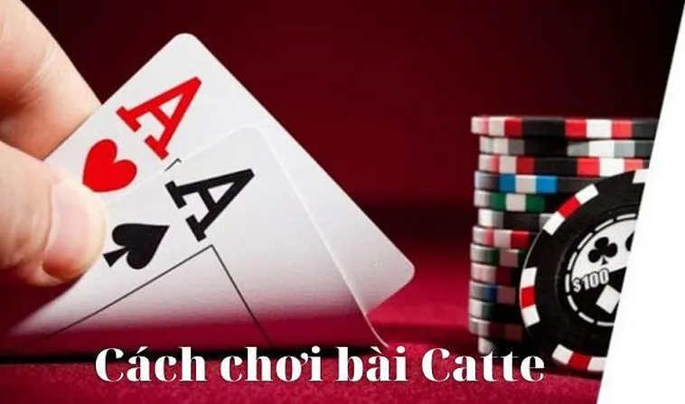 Bí Quyết Chinh Phục Sắc Tê Tại WW88 Từ Cao Thủ Cá Cược